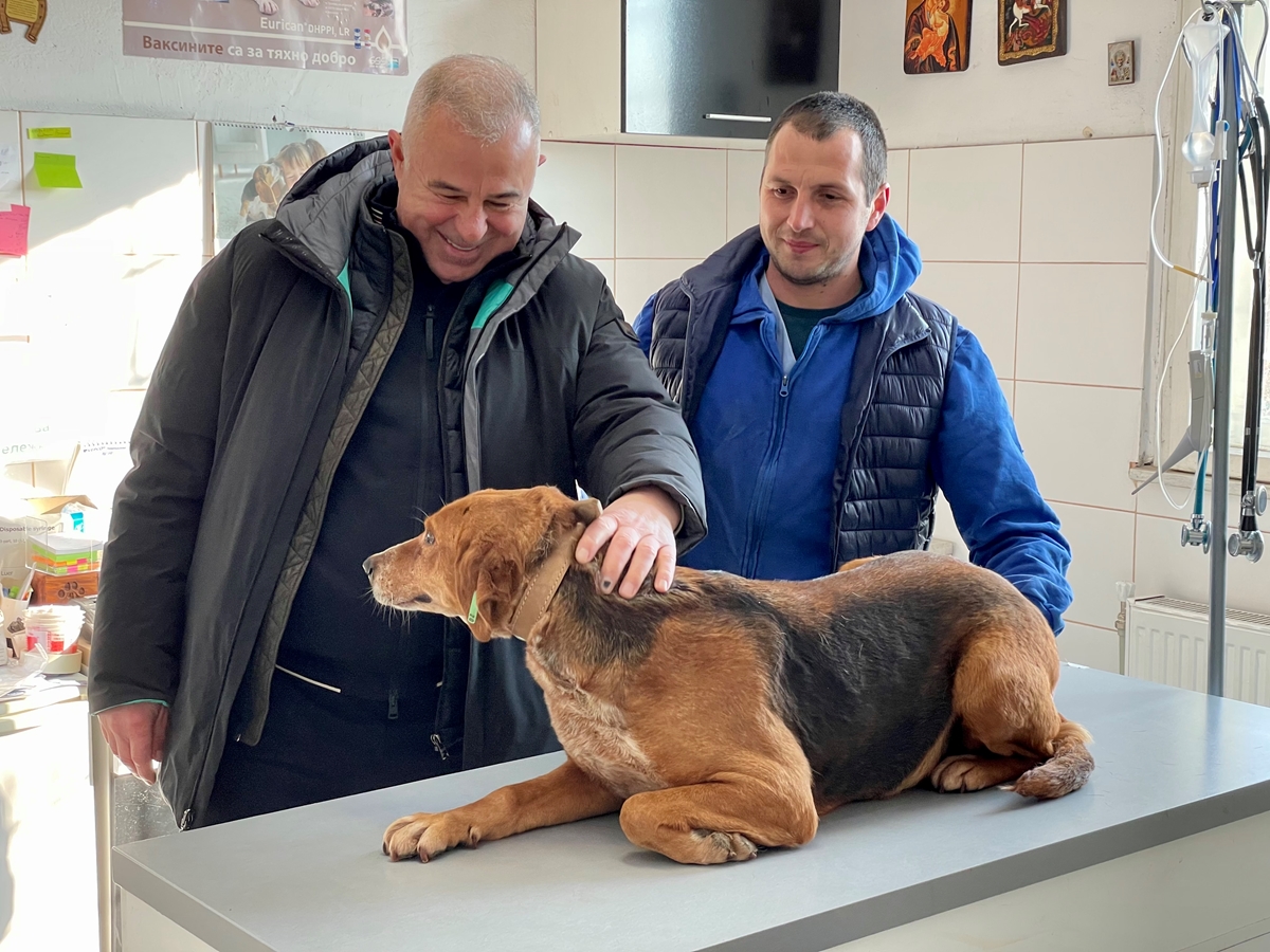 Кметът на Симитли осинови бездомно куче "турист", дарено му от община Благоевград