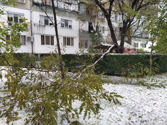 Паметта в телефона няма да ми стигне да снимам поразиите само в района на улица "Младежка", каза пловдивчанин.