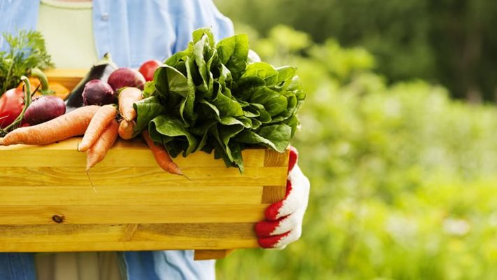 5 причини защо да ядете био храни