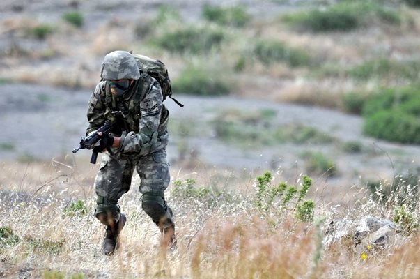 Швеция отложи едномесечно военно учение заради коронавируса