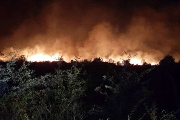 Огънят бе трудно овладян заради поривистия вятър СНИМКА:ОДМВР-Пазарджик