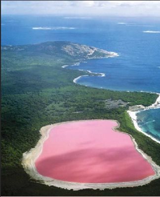 Розовото езеро Хилиър е на остров Мидъл - най-големия от архипелага Решерш до бреговете на Западна Австралия. Причината за цвета му не е напълно ясна. Розово езеро има и в Сенегал, казва се Ретба.