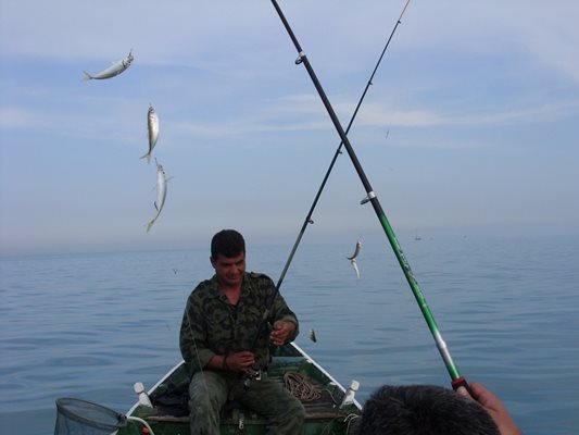 Варненски рибари вадят чепарета, пълни с риба