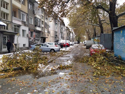 Локалното платно на улица "Младежка" също е в тежко състояние.