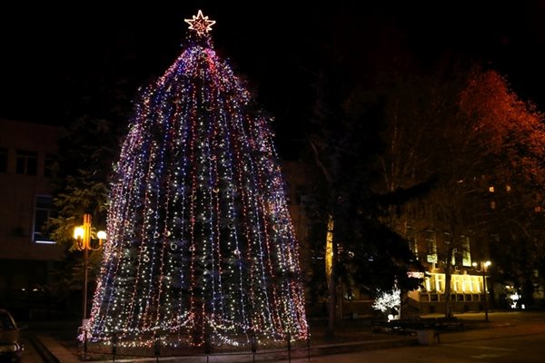 Коледната елха на централния пл. “Жеравица” в Монтана тази година грее с 2680 разноцветни лампички. Тя е естествена и е висока 11 м. За радост на децата Дядо Коледа и Снежанка пристигнаха с парашут и кацнаха на сградата на областната администрация.
