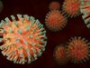 СЗО: Британският щам на коронавируса е установен в 60 държави