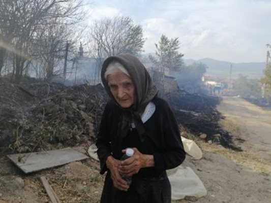 Баба Марийка от Старосел се оказа жилава българка. Снимка:  Наташа Манева