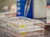 Германия премахна задължителния PCR тест за пристигащите от Добричко