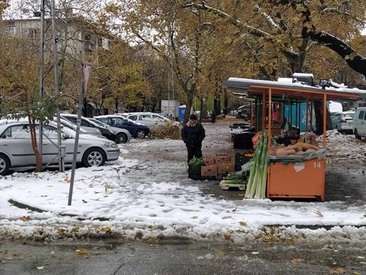 Един–двама търговци се престрашиха да отворят в неделя.