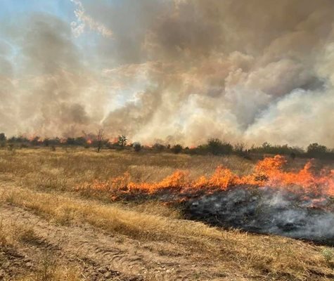 Огънят мени посоката си заради вятъра и настъпва към село Цар Асен