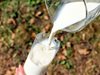Мляко разболя бебе от салмонела в Испания