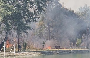 Пожар лумна до Гребната база в Пловдив (Снимки)