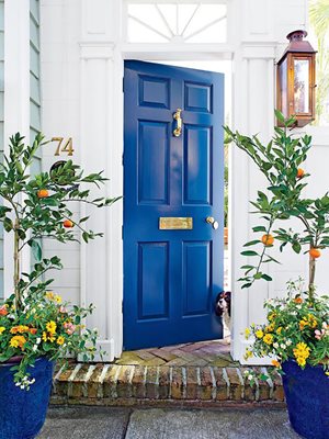Синята входна врата и растения до нея ще привлекат богатството