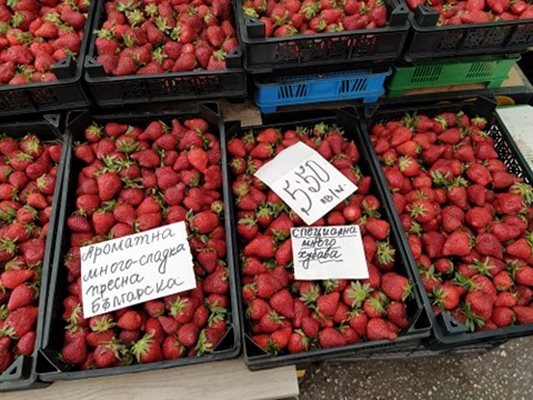 Най-евтините ягоди са 5,50. Преди седмицата вървяха по 8 лева.