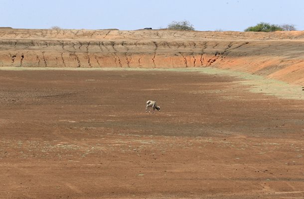 Кения, Етиопия и Сомалия търсят решение на проблема с продължителната суша