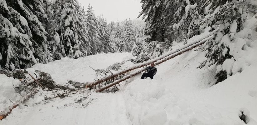 Снежната обстановка в района на град Сърница