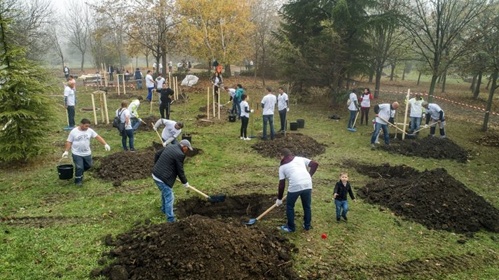 Доброволци от “Джи Пи Груп” засадиха над 1600 дървета