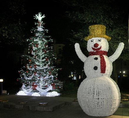 И тази година общината в Пловдив украси жива коледна елха на пл. “Стефан Стамболов”. В шадравана са аранжирани 8 коледни подаръка в бяло, украсени с червени панделки, които светят. Пред дръвчето има два големи снежни човека.