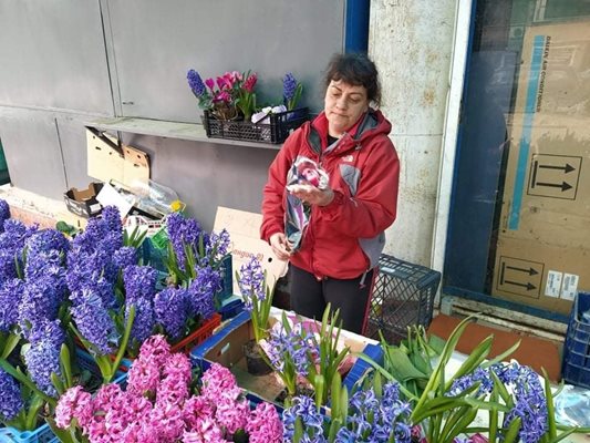 Кически зюмбюли в саксии са сред най-търсените цветя за 8 март