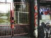 Куче на "Армията" брани стадиона на ЦСКА, скъса панталона на инспектор