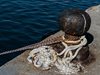 Намерено е тялото на моряк след катастрофата в Източнокитайско море