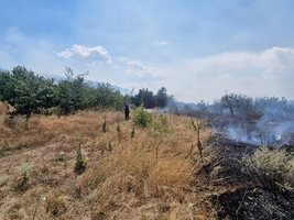 Умишлен палеж на гуми и пластмасови туби покрай новия път между Петрич и с. Беласица доведе по голям пожар днес следобед. СНИМКИ: Община Петрич