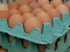 БАБХ установи втора партида яйчен прах, замърсен с фипронил, от Германия