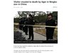 Китайски гратисчия загина в клетка с тигри
