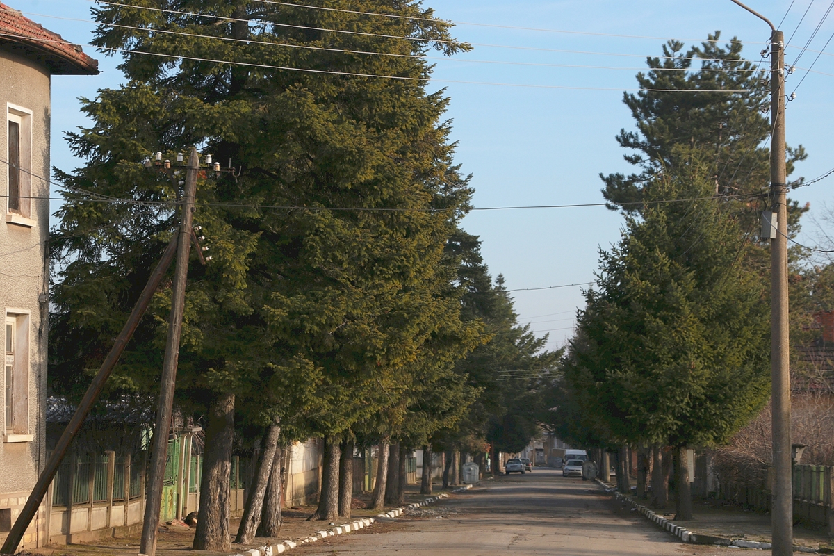 Спокойна е обстановката в началото на изборния ден в село Габровница