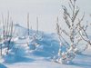 Усложнена остава обстановката заради снега в Тетевен