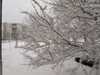 Добричка област – трети ден блокирана от сняг и навявания
