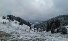 Сняг наваля във високите части на Родопите (Снимки)