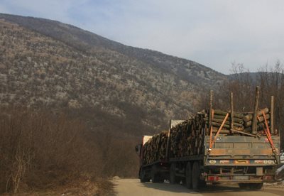 Валежите в последните седмици затрудняват извозването на дървата от складовете.