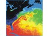 Учени откриха признаци за глобална катастрофа в Атлантическия океан