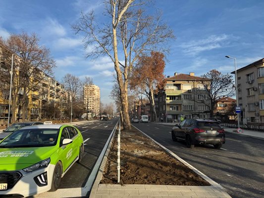 Колите вече се движат по обновената улица "Царевец", която е с две платна. Снимка: Мая Вакрилова