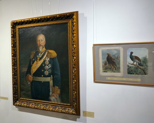 В центъра на експозицията е непознат официален портрет на Фердинанд I, дело на Никола Михайлов.