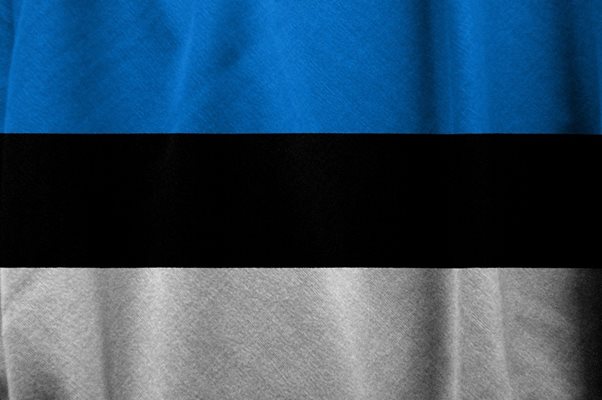Естония стана непостоянен член на Съвета за
сигурност на ООН
