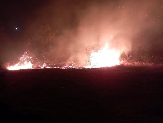 Голям пожар пламна близо до село Николаево
СНИМКА: Facebook/Пожарната в Габрово