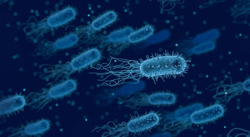 Бактериални инфекции убиват близо 8 милиона души годишно (Обновена)
