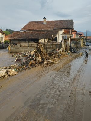 Берковица след потопа Снимка: Facebook/Р. Йорданова
