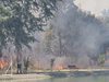 Пожар лумна до Гребната база в Пловдив