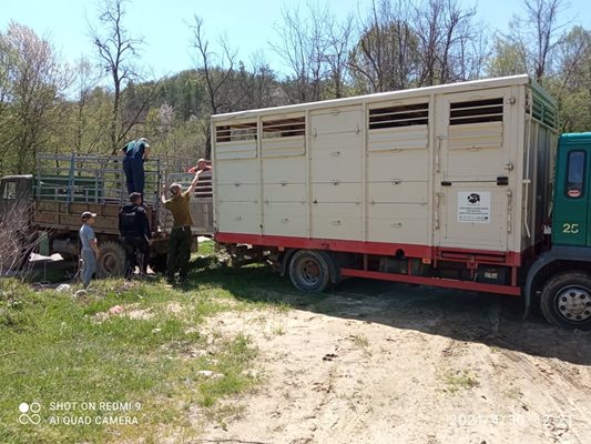  Граждани се разгневиха на пускането на животните

Снимки: Фонд за дивата флора и фауна