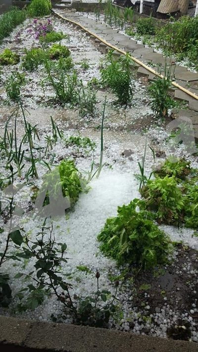 Снежна покривка се образува в Каравелово. СНИМКИ: Авторката