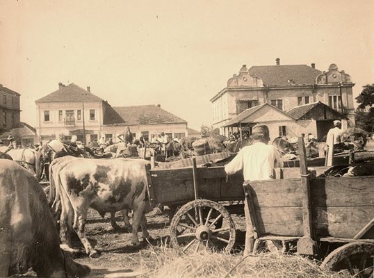 Югославия.Лесковац,пазар за добитък