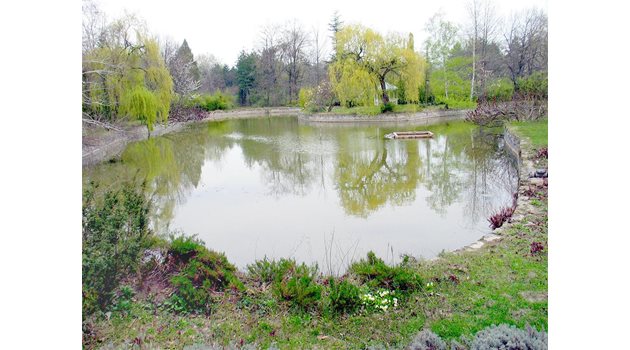 АНАЛОГ: Това е езерцето в двореца "Кричим", но подобно има и в заграбеното имение на Цар Киро.