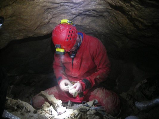 Спелеолозите приготвят костите за изнасяне от пещерата.
СНИМКИ: ИВОН ТРЕНДАФИЛОВА