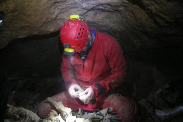 Спелеолозите приготвят костите за изнасяне от пещерата.
СНИМКИ: ИВОН ТРЕНДАФИЛОВА