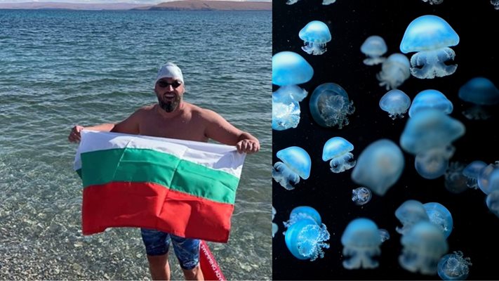 Рекордьорът Петър Стойчев: Болката от плуване сред медузи е неописуема!