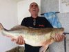 Гигантска бяла риба извадиха от язовир "Кърджали"