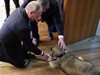 Вижте как посрещнаха Путин в Белград и какво куче му подари Вучич (Галерия)